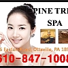 Pine Tree Spa