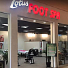 Lotus Foot SPA