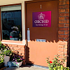 Orchid Thai Massage & Spa