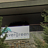 Evergreen Massage