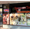 Evergreen Tree Massage