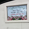 Mayflower Massage