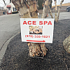 Ace Spa