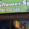 Sunflower Spa Massage