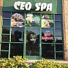 CEO SPA