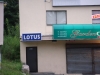 Aloha Salon (Lotus Salon)