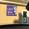 Lily Spa