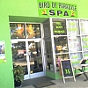 Bird of Paradise Massage