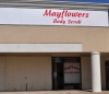 Mayflowers